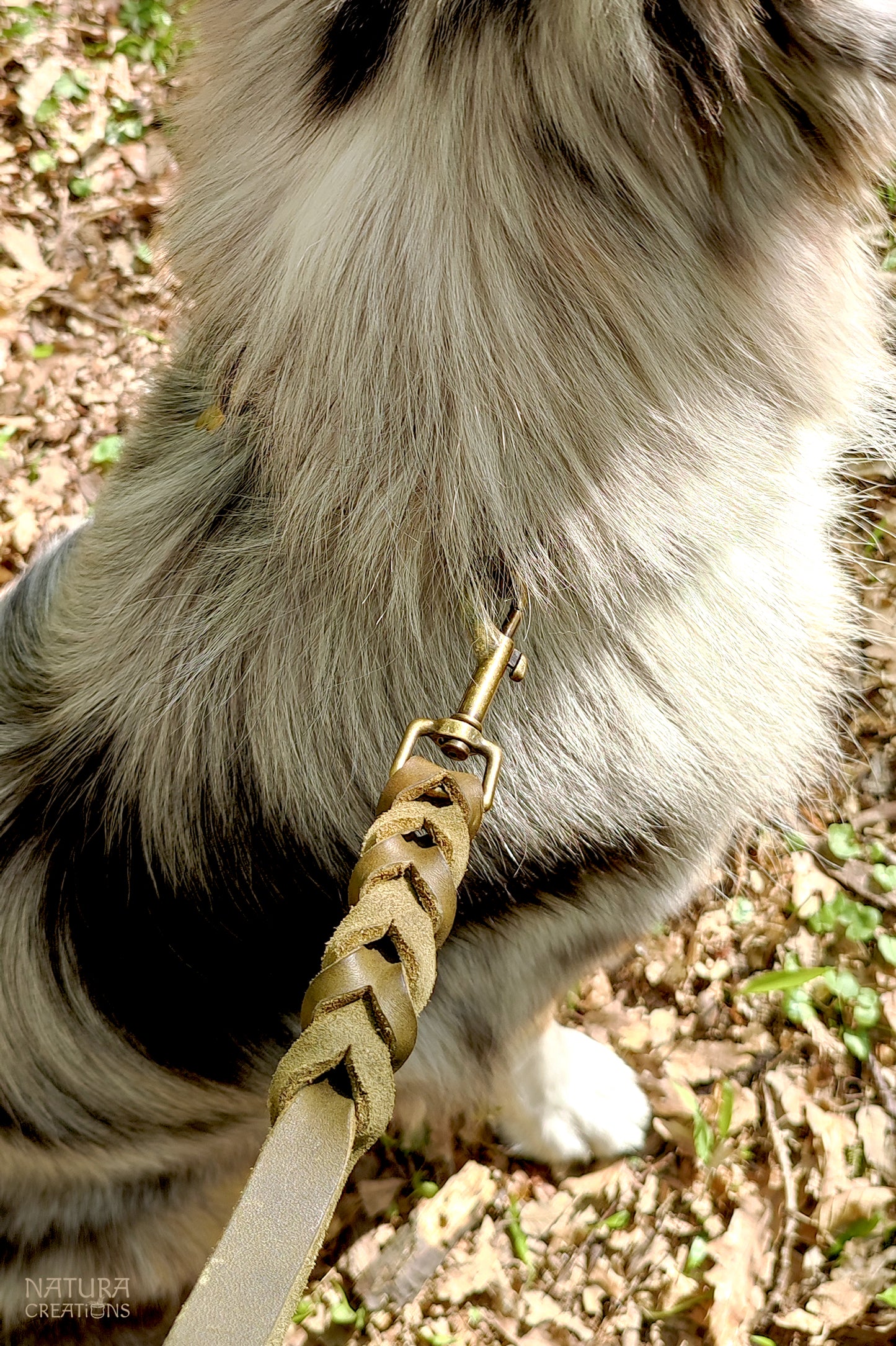 Traveller Dog Leash ⪼ Long Hand Braided Leather Leash