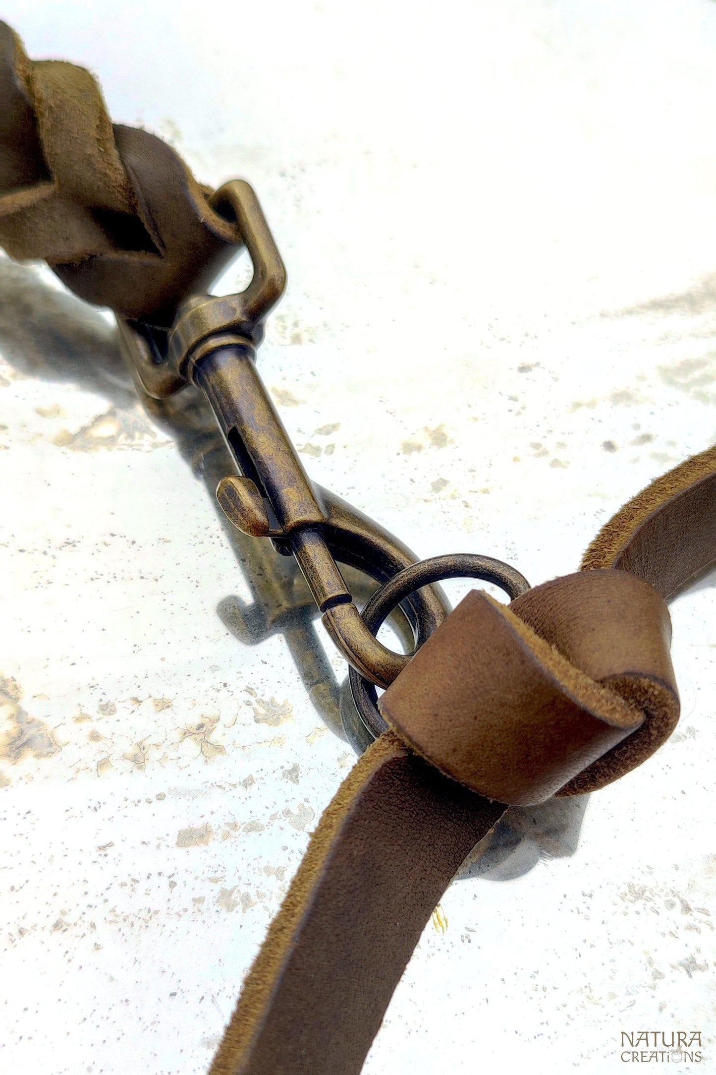 Traveller Dog Leash ⪼ Long Hand Braided Leather Leash