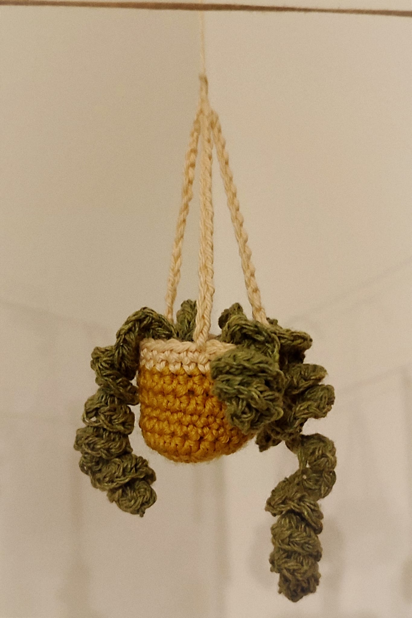 Spiral Plant Crochet Pot ⪼ Handmade ⪼ one of a kind