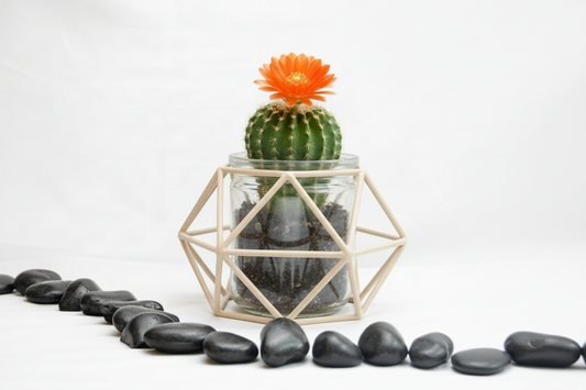 Geometric Wire Vase Cage – Modern Design for Weddings & Everyday Living