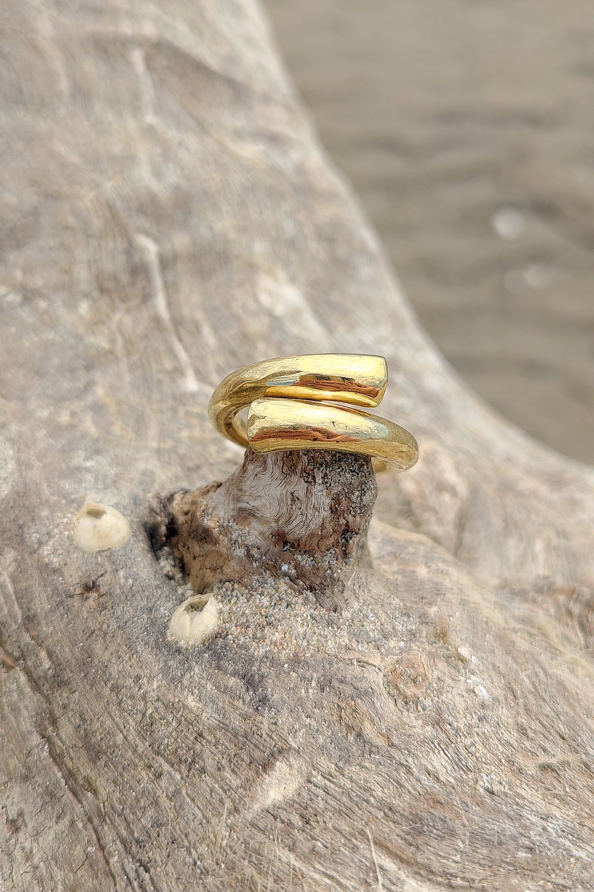 Locus Ring ⪼ Handmade Brass Ring